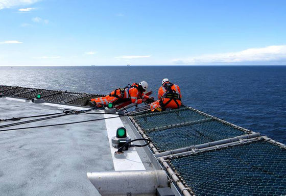 прочность на растяжение сети безопасности Helideck звена цепи 316L SS высокая